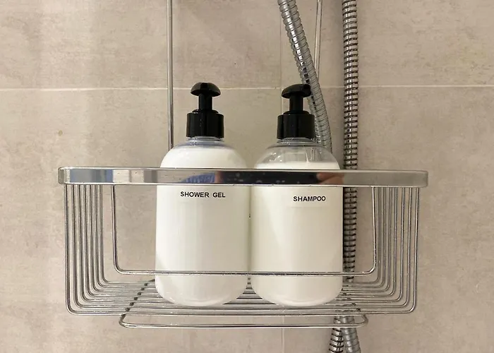 Apartment Entire With Terrace San Sebastian