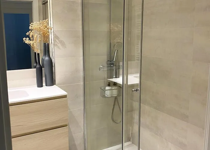 Entire With Terrace Apartment San Sebastian